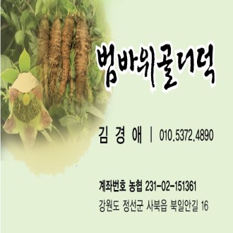 양면 무코팅 명함 500장