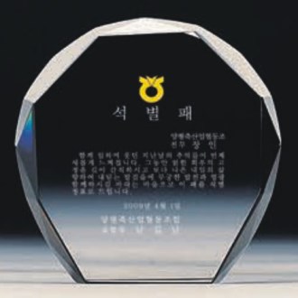 크리스탈 상패 문진 4539