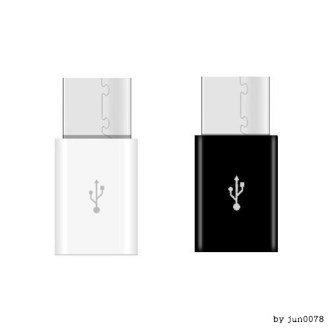 C타입 젠더 / 고급 포장지