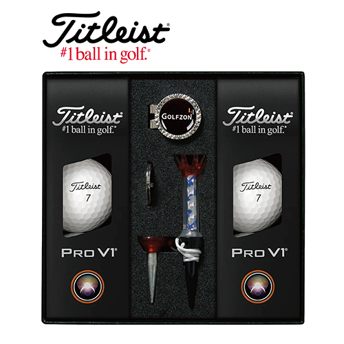 타이틀리스트 Pro V1 골프볼 6구+볼마커 (실버) + 자석티 세트