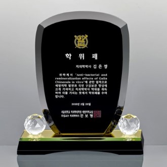 블랙 크리스탈 상패 14호 107-1