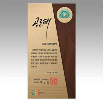 감사패 회사공로패 [NA008] WSGD
