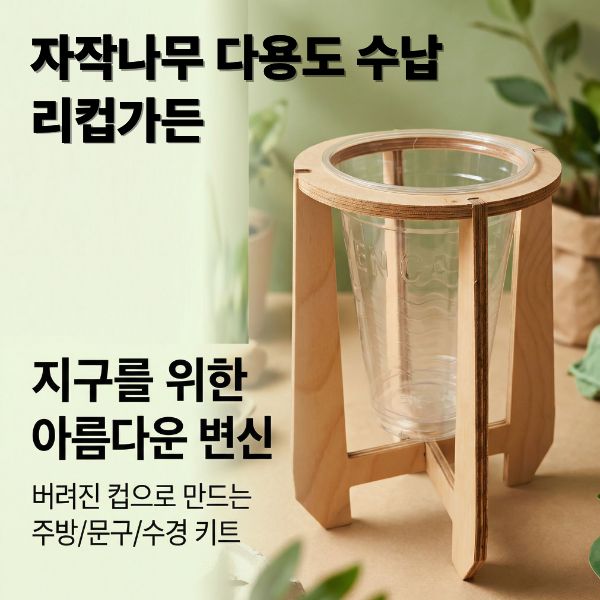 친환경 자작나무 일회용컵 리컵가든
