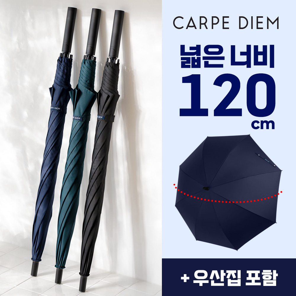 카르페디엠 3HHC102 장우산