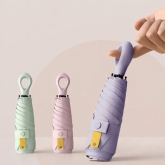 카라비너 손잡이 양우산